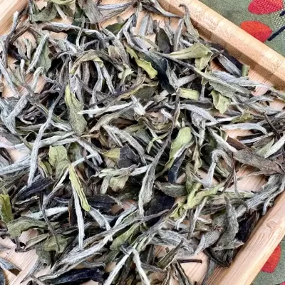 2020 Golden Peak Mountain White Peony Supreme White Tea