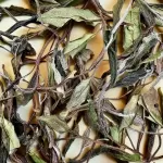 2024 Educated Youth Garden Tea Limited Production