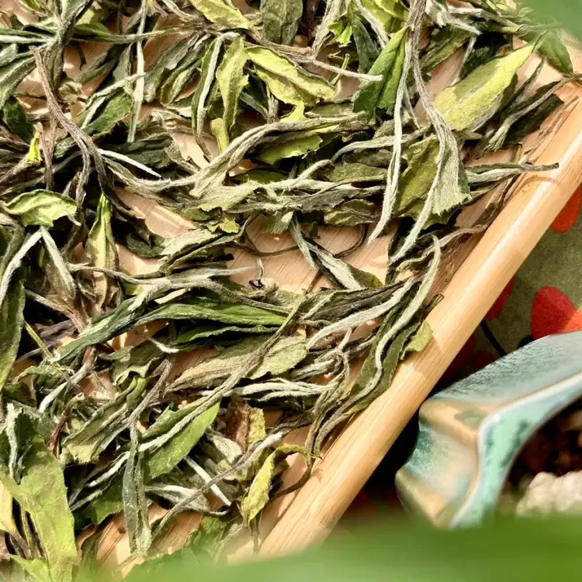 2025 Floral Scented White Peony white tea