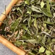 2025 White Hair Silver Needle Huacha No.1 Premium Fuding White Tea