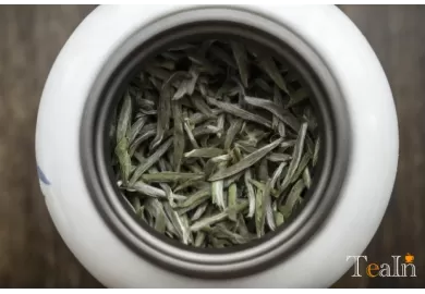 Why Has White Tea Become Modern People’s Top Choice for Stocking Up on Tea?