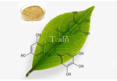 Why Is Drinking Tea Good for Health? The Secret of Tea Polyphenols