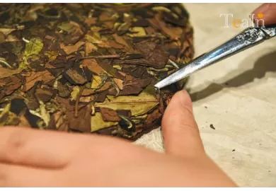 Why Is White Tea Compressed into Cakes? Practical Tips for Prying Them Open