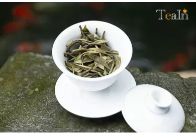 Zhenghe White Tea: 5 Little-Known Facts Unveiling Its Flavor and Terroir Secrets