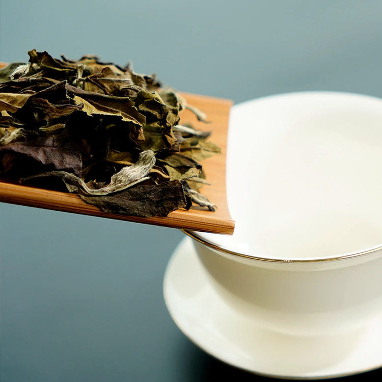 2012_Jade_Dew_Fragrance_White_Tea_3.webp