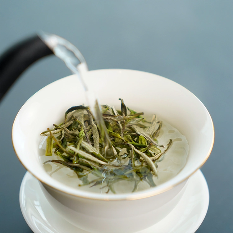 2023_Premier_Pick_Peony_White_Tea_3.webp