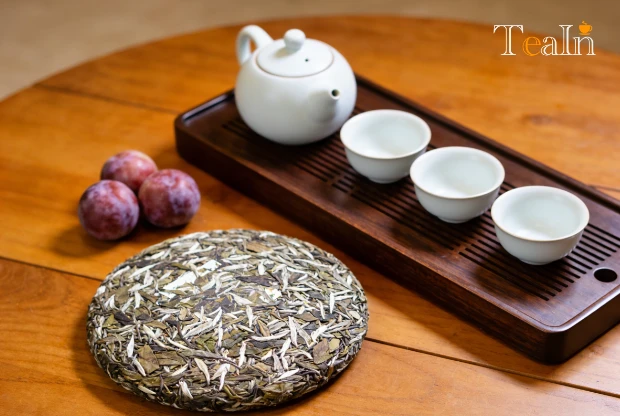 Does Fuding White Tea Have a Plum Aroma? Truth and Identification Guide