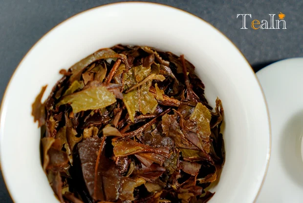 Gongmei: The "Everyday Gem" of White Teas, Hiding Warm, Daily Aromas