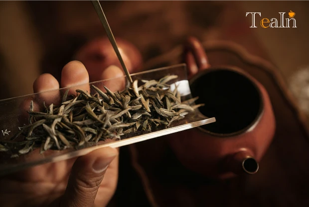 How to Brew Baihao Yinzhen? Complete Guide to Unlocking Fresh and Sweet Flavors