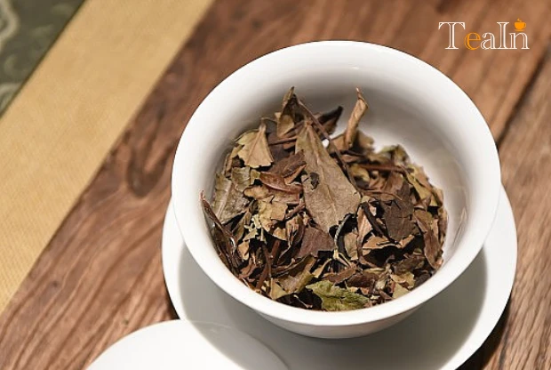 How to Choose Aged White Tea? Avoid the Year-Only Myth: Scientific Buying Guide