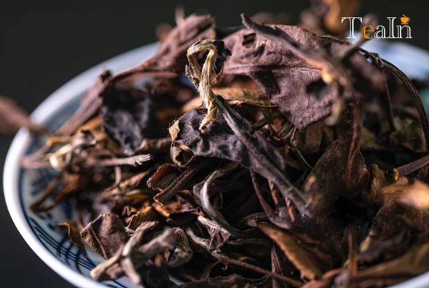 How to Brew Aged Shoumei for Best Flavor? 3 Classic Methods & Tasting Techniques