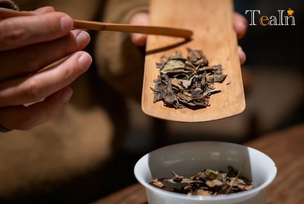 How to Choose High-Quality Aged White Tea