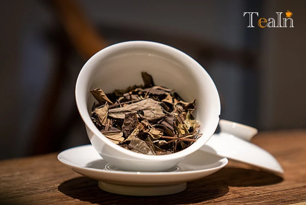 How to Judge High-Quality Aged White Tea