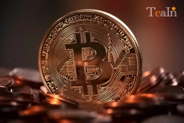 Is Tea Better the More Expensive It Is? Authenticity and Suitability Are the Core Choices