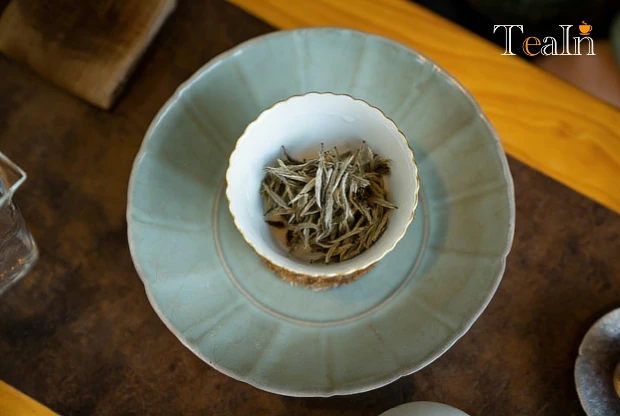 Must Beginners Choose Baihao Yinzhen When Buying White Tea? Core Selection Guide