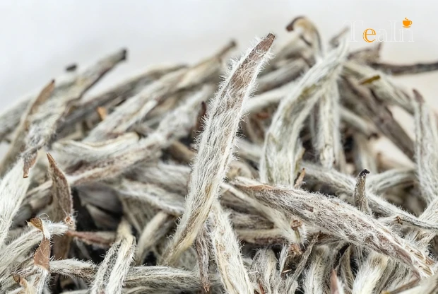Silver Needle White Tea: The Jewel of White Tea, Taste the Freshness of Spring in Every Sip