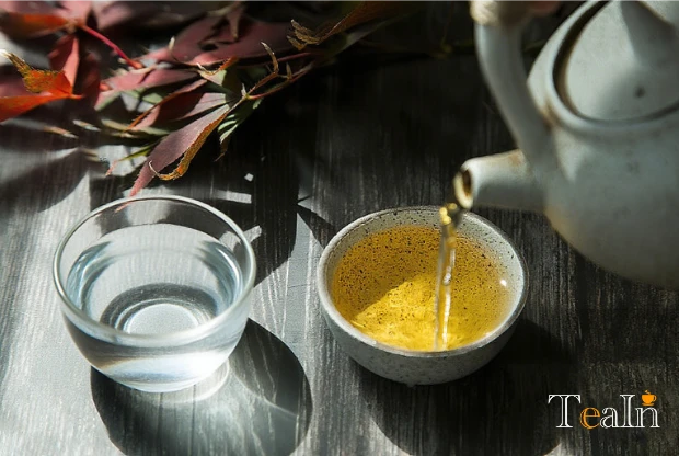 Tea VS Water: Which Is Better for Long-Term Health?
