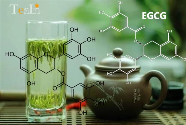 Are You Drinking Tea the Right Way? Uncovering the Secrets of Tea Polyphenols