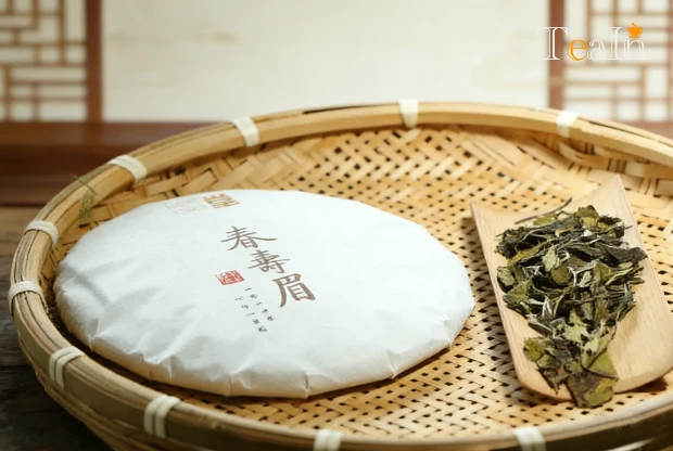 What’s the Best White Tea for Beginners?