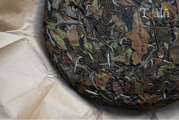 White Tea Collection: Loose Tea or Compressed Tea? Which to Choose?