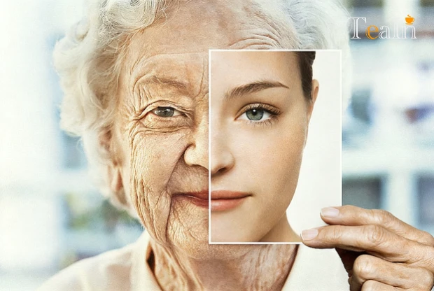 Who Is the Antioxidant King of White Tea? Variety Comparison & Scientific Analysis