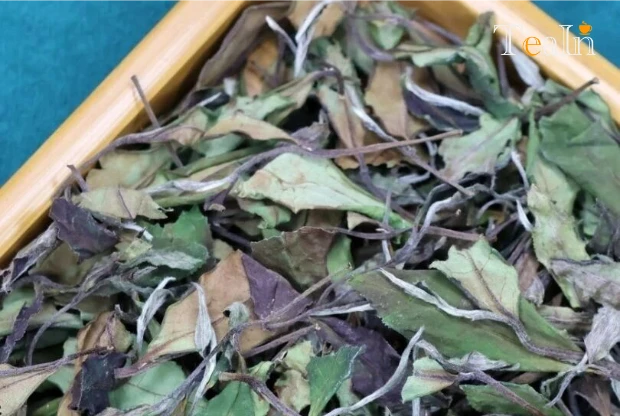 Why Does Bailu Shoumei Have Colorful Hues? The Origin and Characteristics of Its Natural Color