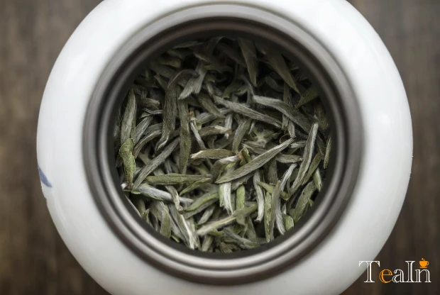 Why Has White Tea Become Modern People’s Top Choice for Stocking Up on Tea?