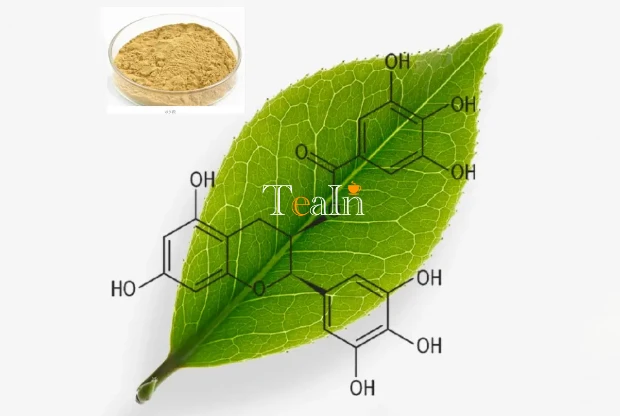 Why Is Drinking Tea Good for Health? The Secret of Tea Polyphenols