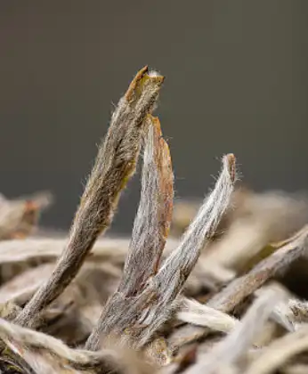 white peony white tea